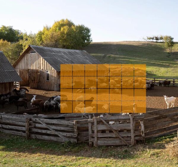 Kamera IP Imou Cell PT 4G kit 3MP bateryjna z panelem solarnym - obrazek 4